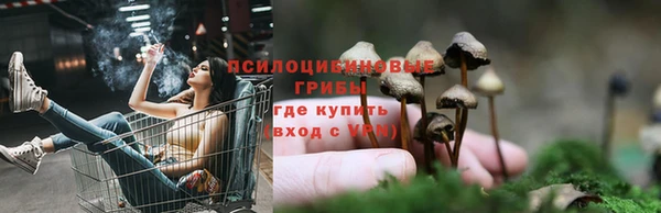 MDMA Михайлов