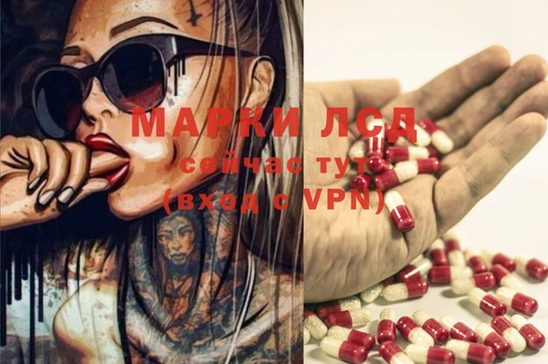 молекула духа Надым