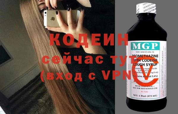 трава Сясьстрой
